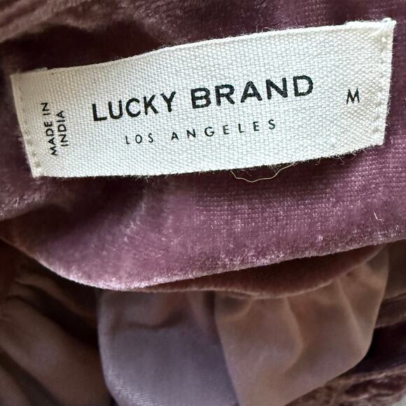 Lucky Brand Rose Taupe Velvet Long Sleeve Embroidered Top Women M Boho Peasant - Picture 6 of 7